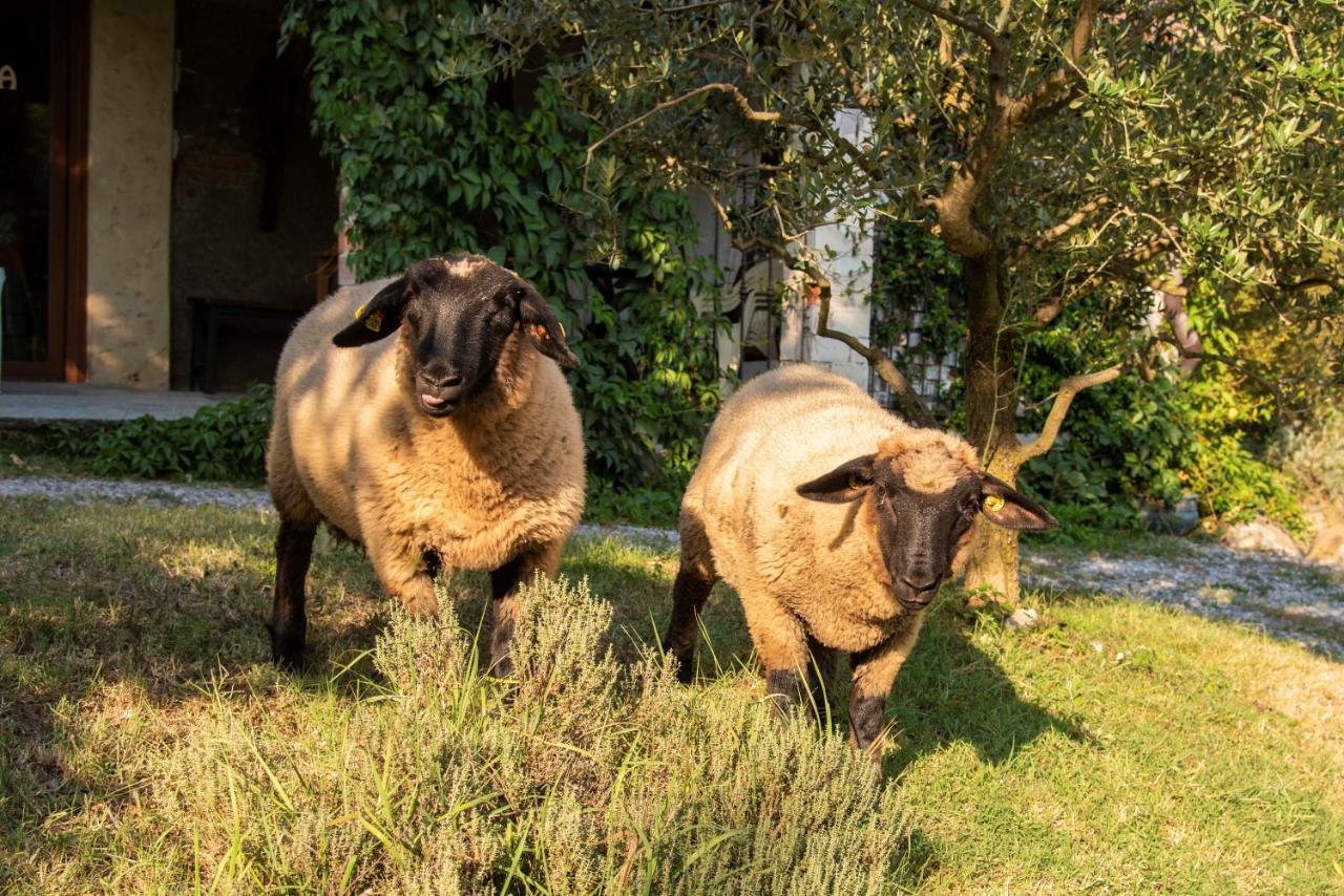 Agriturismo Cascina Costa Cassago Brianza ภายนอก รูปภาพ